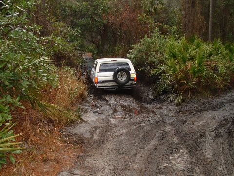 1995 Ford Bronco - A white SUV navigates a challenging muddy path surrounded by dense foliage.