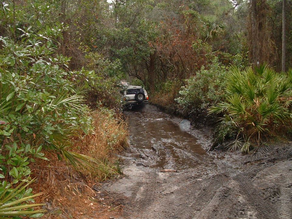 White SUV with spare tire on rear door navigates a muddy forest trail