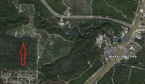 1994 Ford Bronco - This aerial image shows the area around Weeki Wachee Spring and Cortez Blvd, with a red arrow pointing to a wooded area.