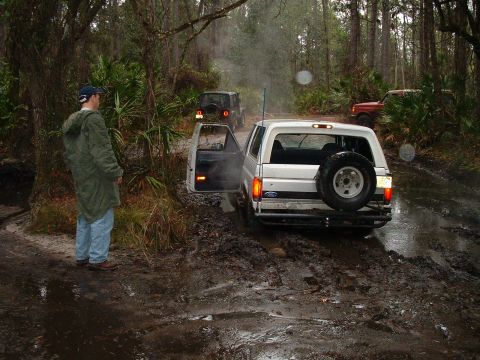 1995 Ford Bronco - Several vehicles navigate a muddy trail through a forest, with one Bronco prominently stuck.