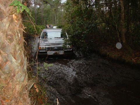 1995 Ford Bronco - This Ford Bronco navigates a muddy trail surrounded by dense foliage.