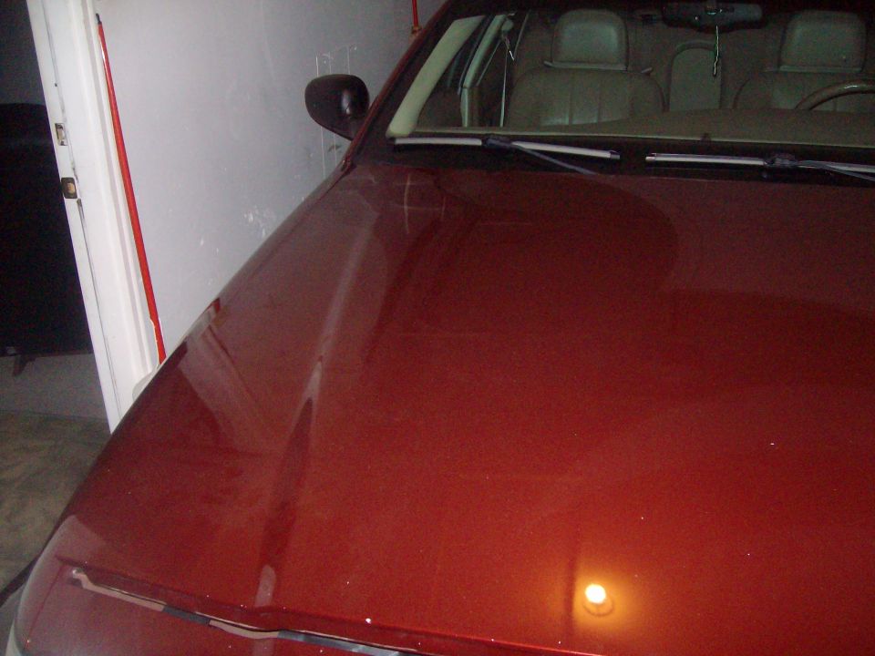 Red 2004 Ford Crown Victoria hood and interior, viewed from the front passenger side
