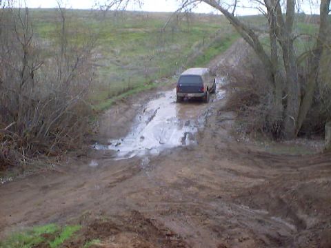 1976 Ford F-100 - A dark SUV navigates a muddy, waterlogged dirt track surrounded by vegetation.