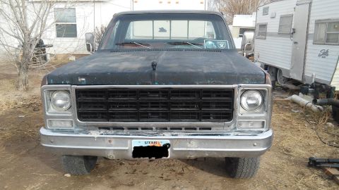 1979 GMC Sierra 1500 photo