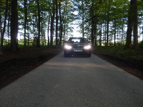 2003 Audi A6 - A dark Audi A4 B6 with headlights on drives down a paved road surrounded by trees.