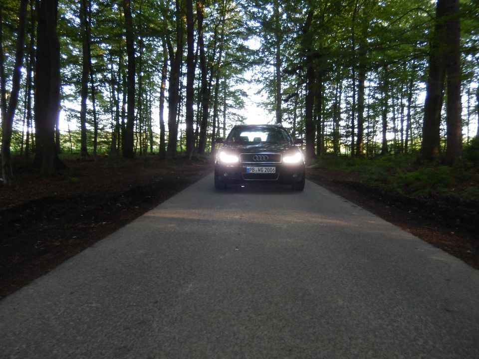 Audi A4 B6 driving on a paved road through a forest