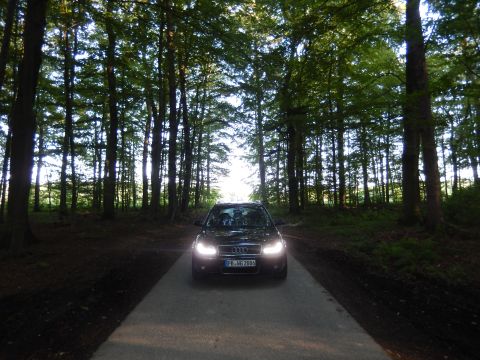2003 Audi A6 - A black Audi sedan drives down a road surrounded by tall trees.