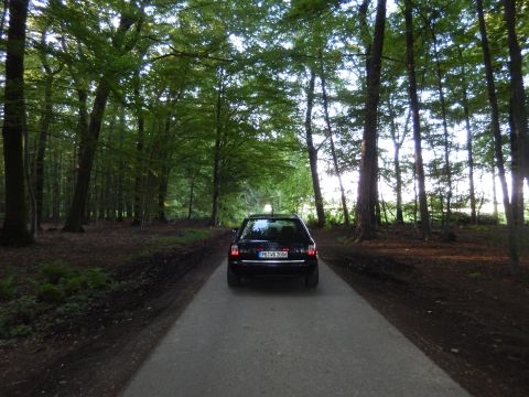 2003 Audi A6 - A black 2003 Audi A6 wagon drives down a paved road surrounded by tall trees.
