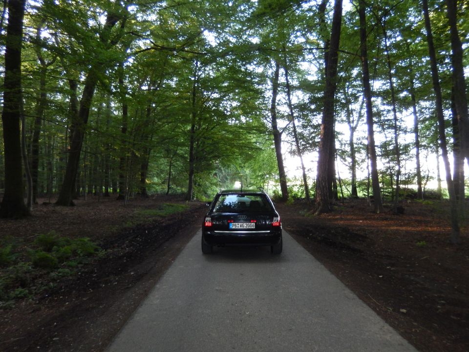 Black 2003 Audi A6 wagon rear view on forest road