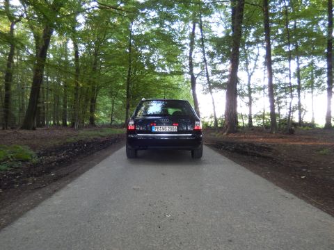 2003 Audi A6 - Rear view of a black 2003 Audi A6 on a road surrounded by trees.