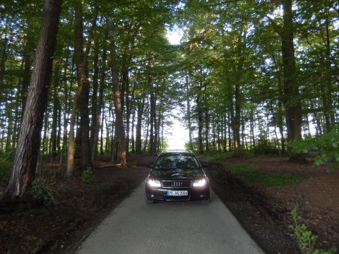 2003 Audi A6 - A dark Audi A4 B6 drives down a narrow road surrounded by dense trees.