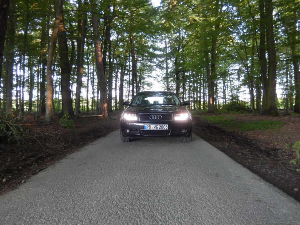Black Audi sedan with license plate PB WG 2006 parked on a road in a forest