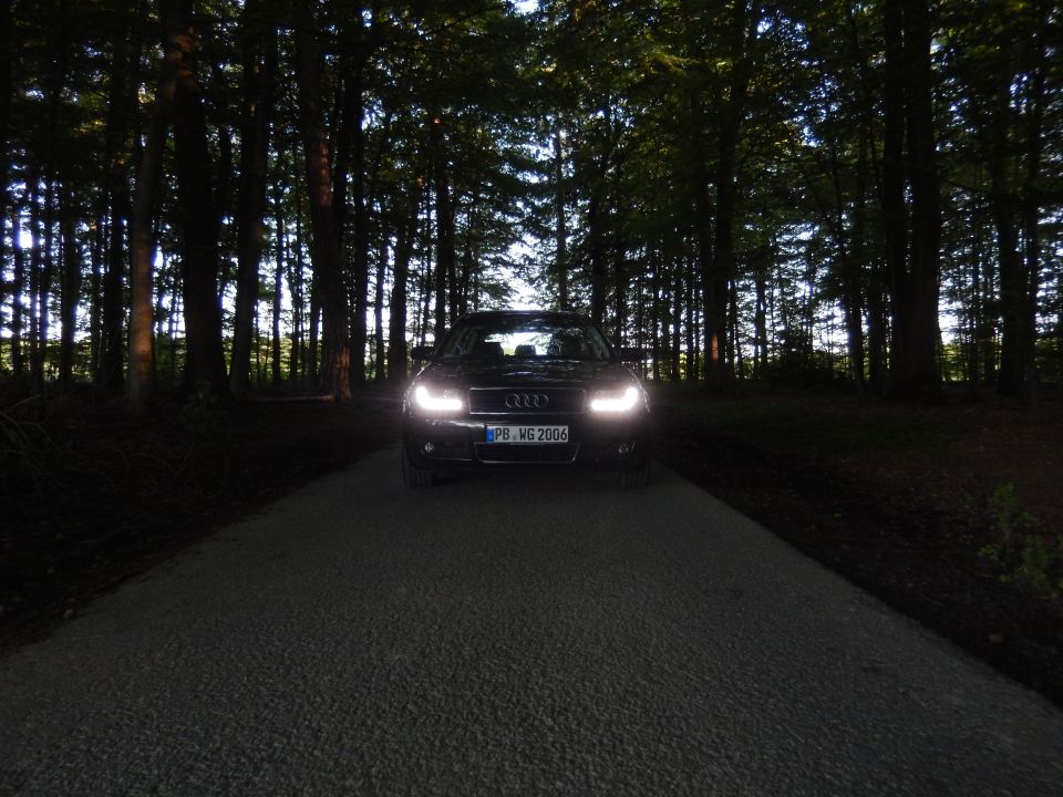 Black Audi A4 B6 with headlights on, parked on a gravel road in a forest