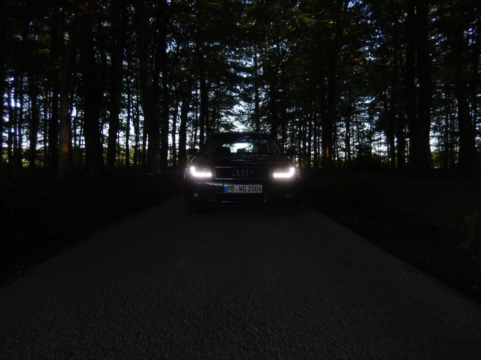 Audi A4 B6 with headlights on, parked on a dark road at night, surrounded by trees. License plate reads PB WG 2006