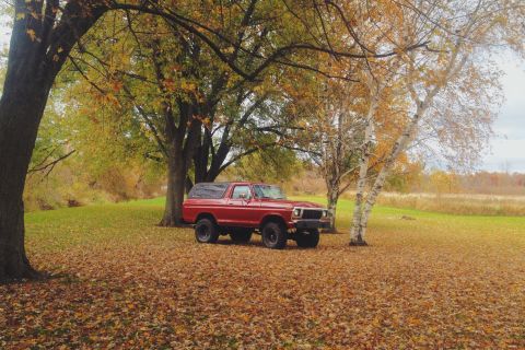1978 Ford Bronco photo