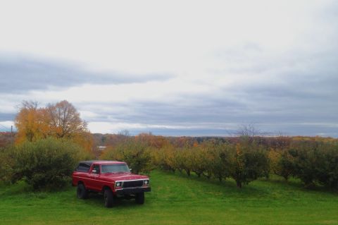 1978 Ford Bronco photo