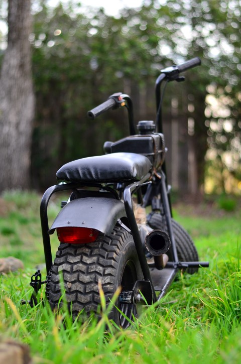 1968 Classic (Classic MC) Classic Ride “The Boonie”