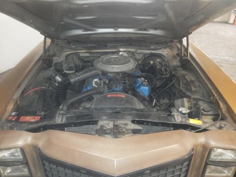 1977 Ford Ranchero photo