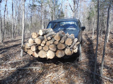 1983 Ford Bronco - This is 43' of a 45' tree. https://www.youtube.com/watch?v=RkGIG9uRdTs https://www.youtube.com/watch?v=VNmWA38vfO8