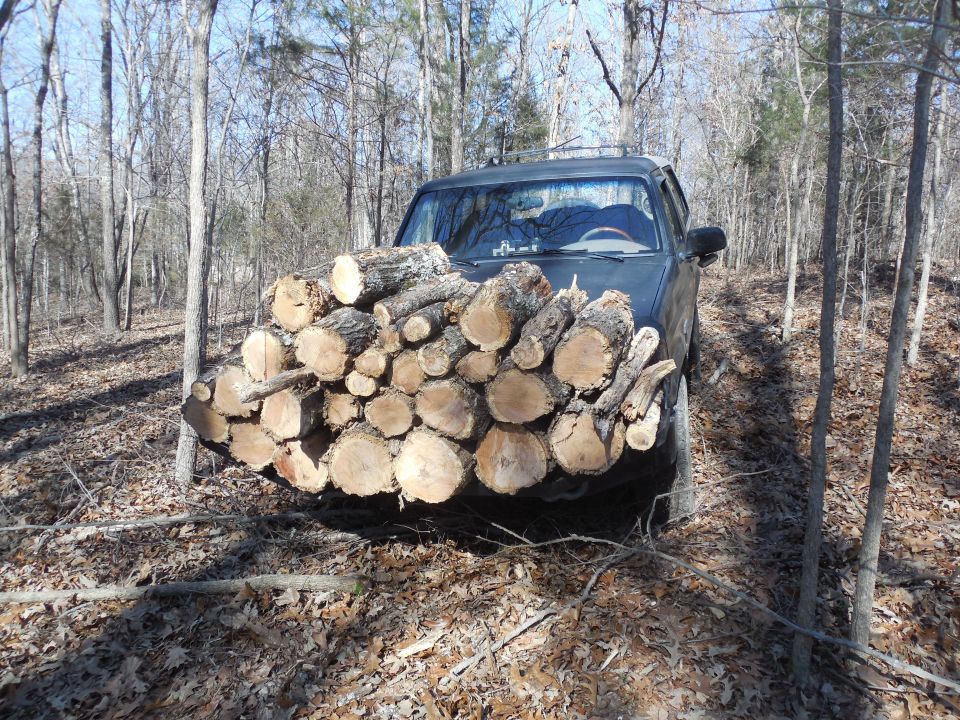 This is 43' of a 45' tree.

https://www.youtube.com/watch?v=RkGIG9uRdTs

https://www.youtube.com/watch?v=VNmWA38vfO8