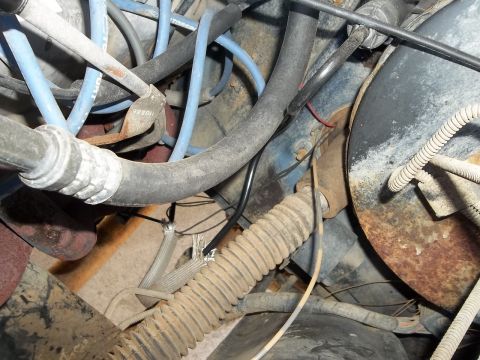 1995 Ford Bronco - Close view of engine bay components including hoses and wiring.