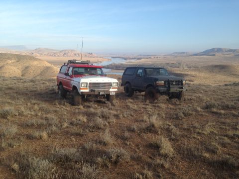 1979 Ford Bronco photo
