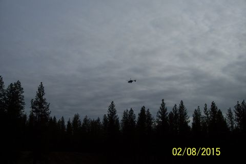 1990 Ford Bronco - A helicopter is seen in the sky above a dense forest on a cloudy day.