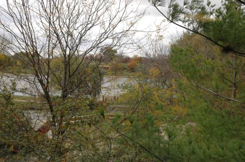 1985 Ford Crown Victoria LTD - Autumn scene with a lake and trees showing fall colors under a cloudy sky.