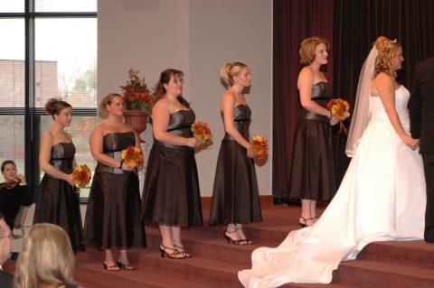 1985 Ford Crown Victoria LTD - A wedding party stands on steps, with the bride in a white gown and veil in the foreground.