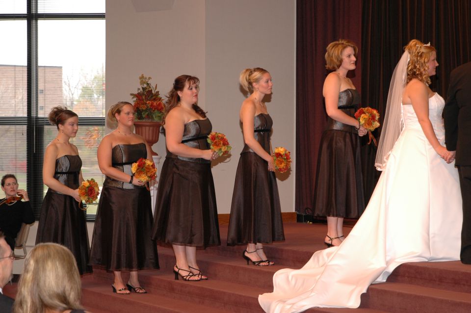 Wedding party standing on steps, bride in foreground with veil