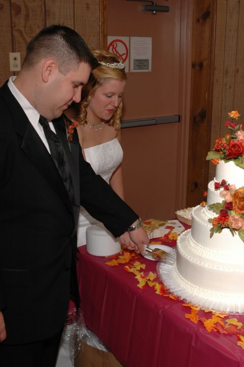 1985 Ford Crown Victoria LTD - Bride and groom cut their wedding cake during the reception.
