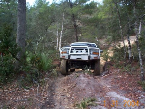 1992 Ford Bronco - This Ford F-Series truck navigates a wooded trail with a prominent brush guard and off-road tires.