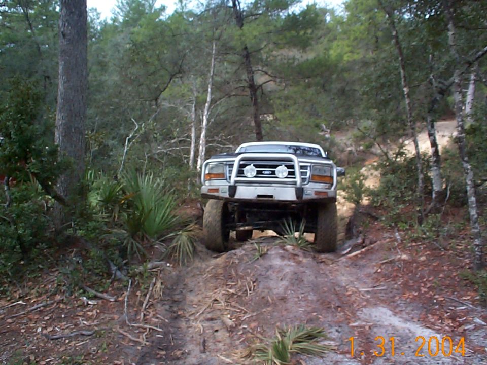 Ford F-Series truck with brush guard driving on dirt trail in woods