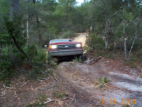 1992 Ford Bronco - A red Ford F-150 navigates a wooded trail with a dirt path.