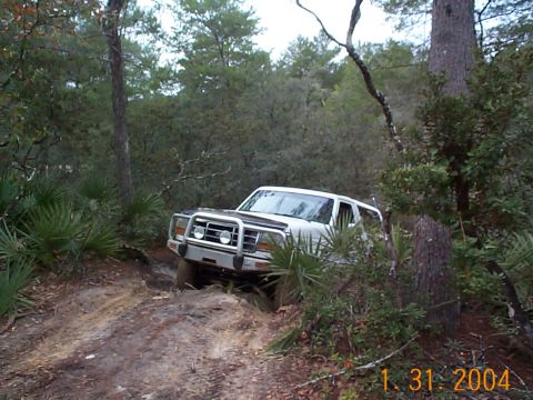 1992 Ford Bronco - A white 1992 Ford Bronco navigates a wooded trail, demonstrating its off-road capability.