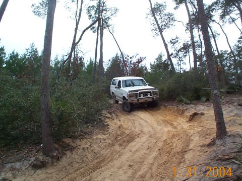 1992 Ford Bronco - A white 1992 Ford Bronco navigates a sandy, wooded trail during an off-road event.