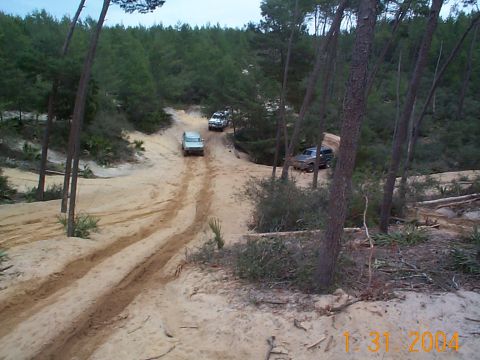 1992 Ford Bronco - Multiple SUVs navigate a sandy track through a pine forest during an off-road event.
