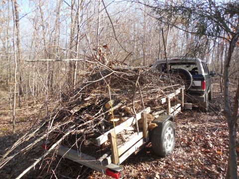 2004 Land Rover Land Rover - I started collecting some of the brush I've cut, and moving it to a clearing to burn later.