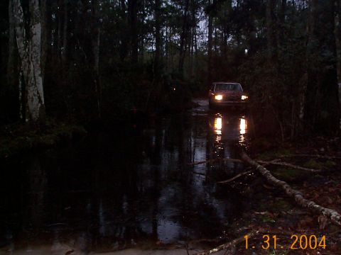 1992 Ford Bronco - A red SUV navigates a waterlogged path surrounded by trees as its headlights reflect on the wet ground.