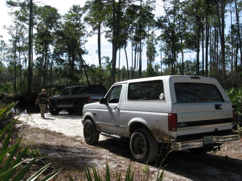 1994 Ford Bronco - Two Ford Broncos are parked on a dirt road surrounded by trees.