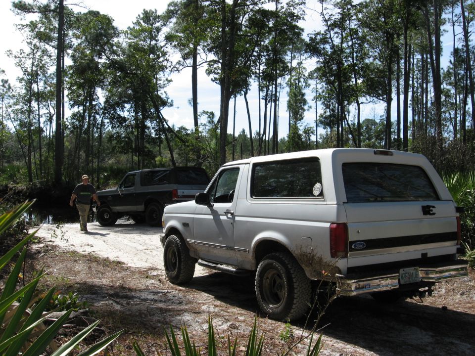 Two Ford Broncos parked on a dirt road with trees in the background. The front Bronco is white, and the rear one is dark