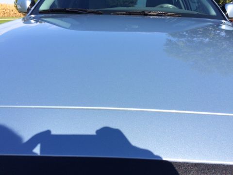 2003 Ford Crown Victoria - The metallic blue paint on the car's hood reflects the sky and trees. A thin white pinstripe runs horizontally across the hood.