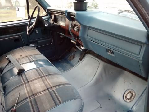 1980 Ford F-150 photo