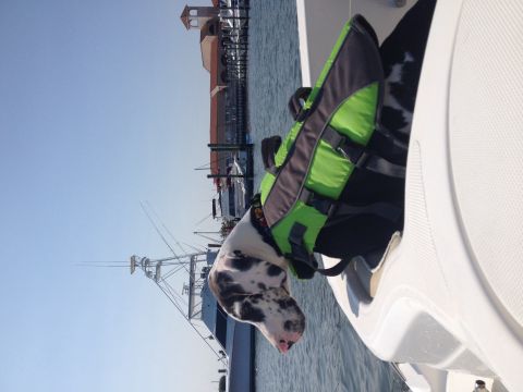 2007 Wellcraft 200 LT Fisherman photo