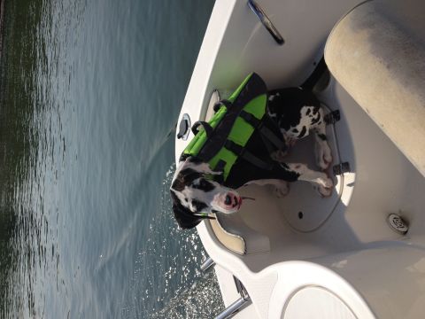 2007 Wellcraft 200 LT Fisherman photo