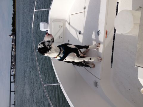 2007 Wellcraft 200 LT Fisherman photo