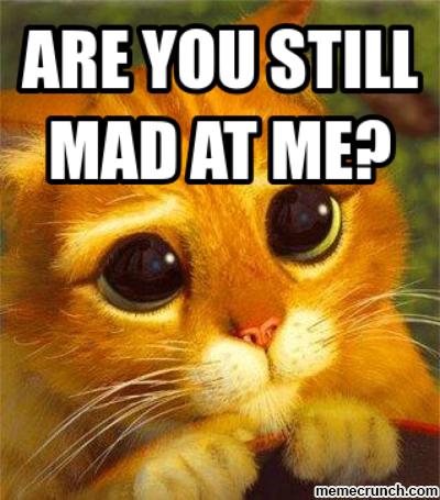 1991 Ford F-250 - Meme an orange cat with pleading eyes and text asking 'Are you still mad at me?'