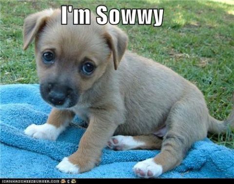 1991 Ford F-250 - A sad-looking puppy sits on a blue towel outdoors, with text overlay and a website logo.