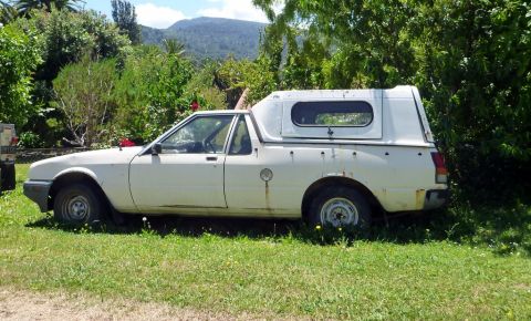 1969 Lincoln Continental - A weathered white pickup truck with a camper shell sits in a grassy area surrounded by trees.