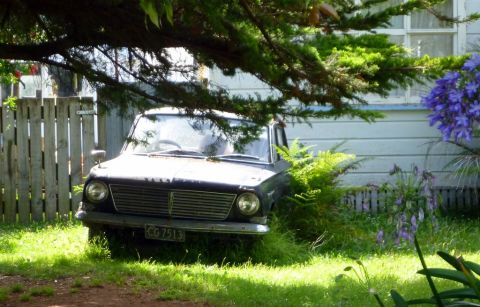 1969 Lincoln Continental - A dark sedan with license plate CG 7513 sits in a grassy yard, partially hidden by tree branches and plants.